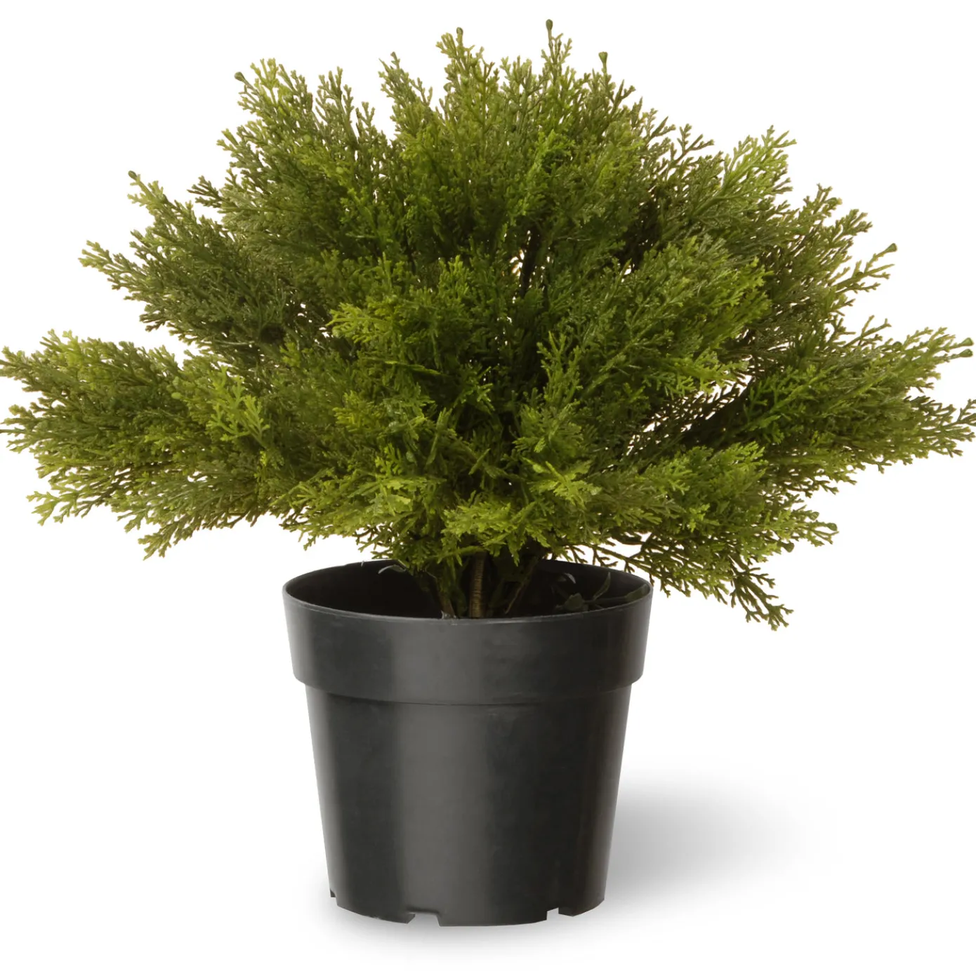 15" Artificial Globe Juniper