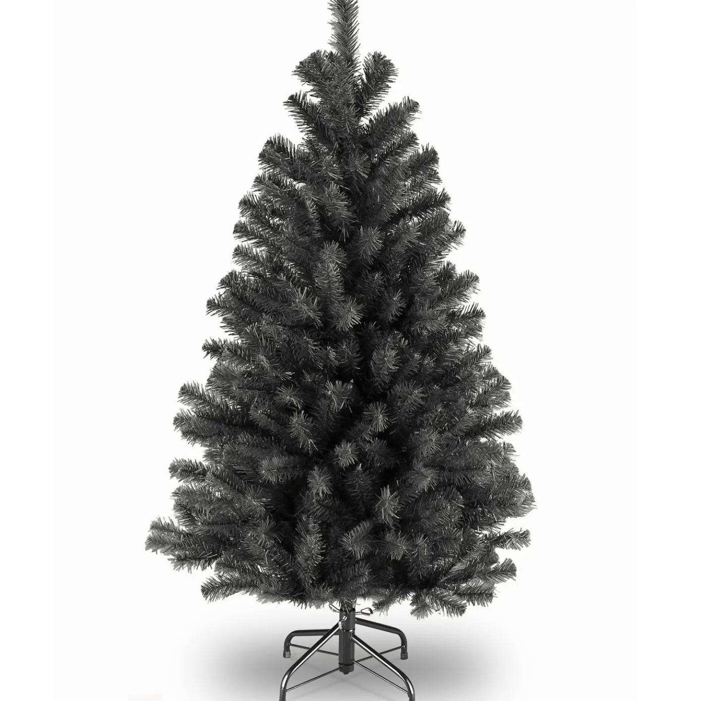 4.5 ft. North Valley Black Spruce Tree