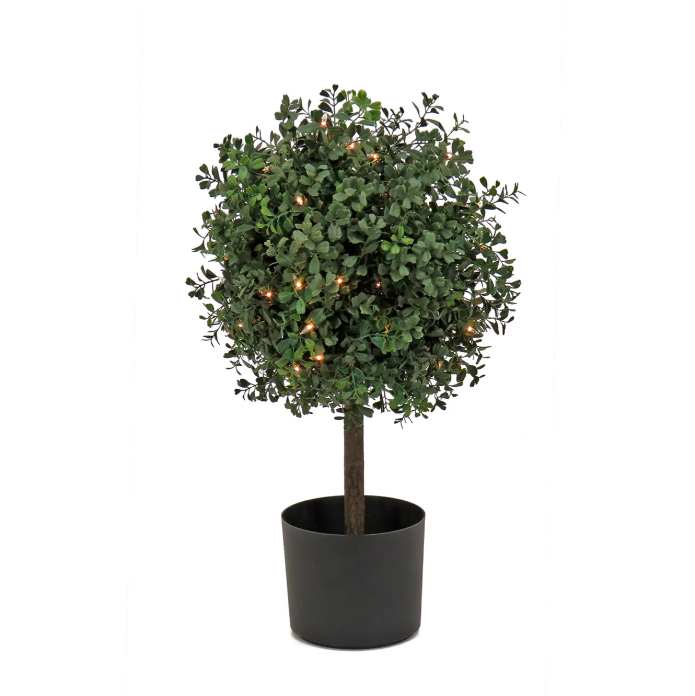 2 ft. Pre-Lit Boxwood Single Ball Topiary in Black Nursery Pot with Clear Lights