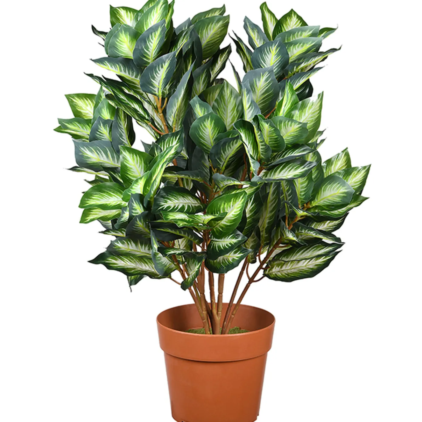 30 in. Hosta Topiary Plant in Brown Round Growers Pot
