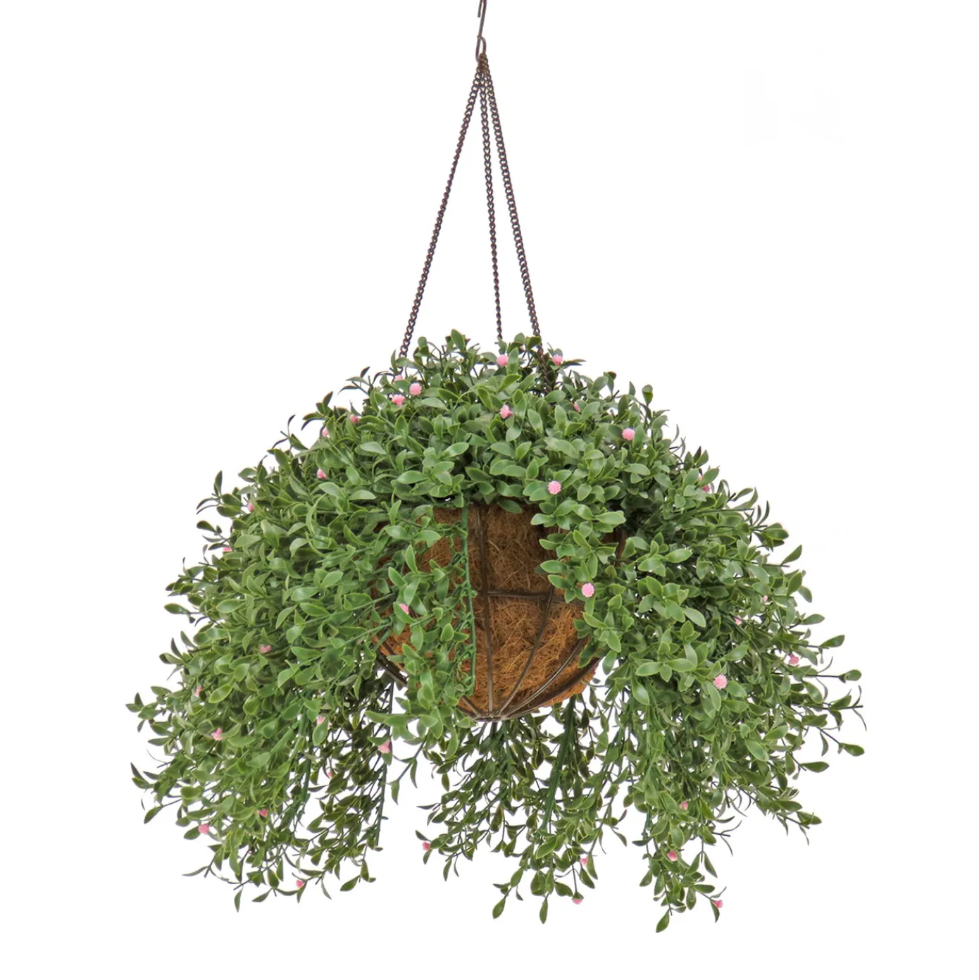 18 in. Spring Argentea Hanging Plant with Pink Flowers