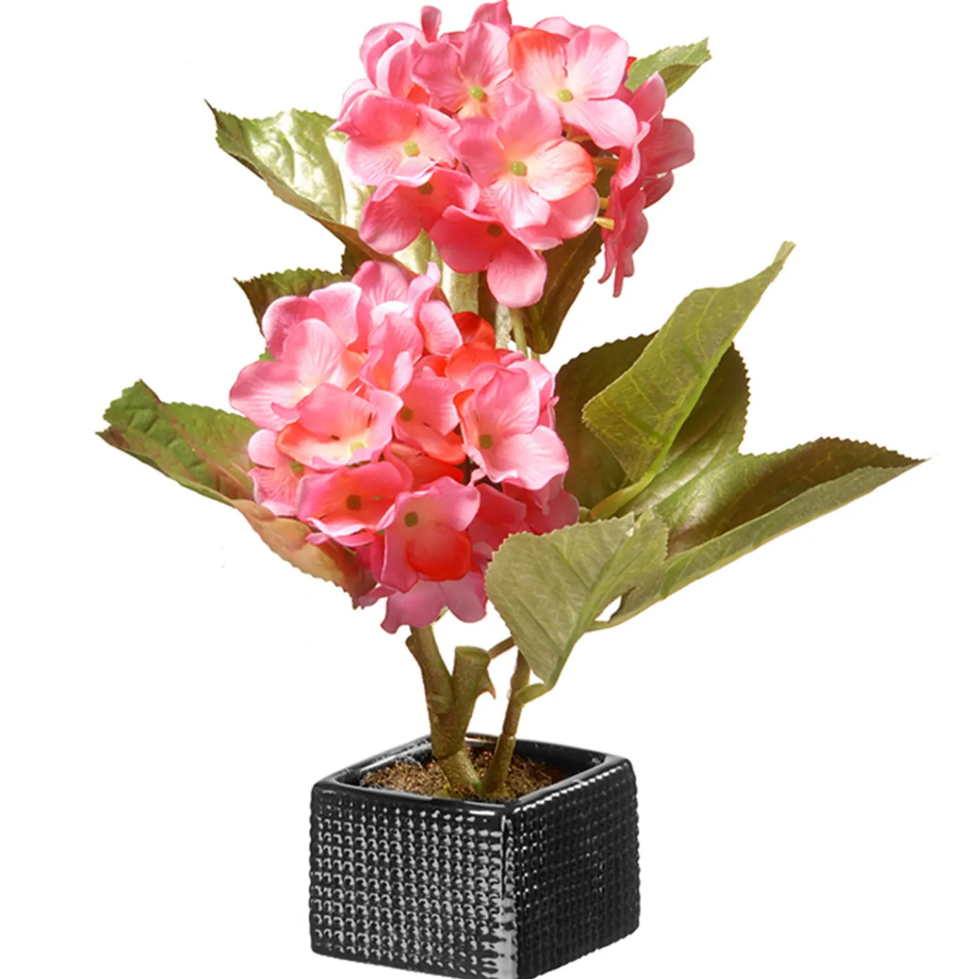 10 in. Spring Potted Pink Hydrangeas Flower Pot with Leafy Greens