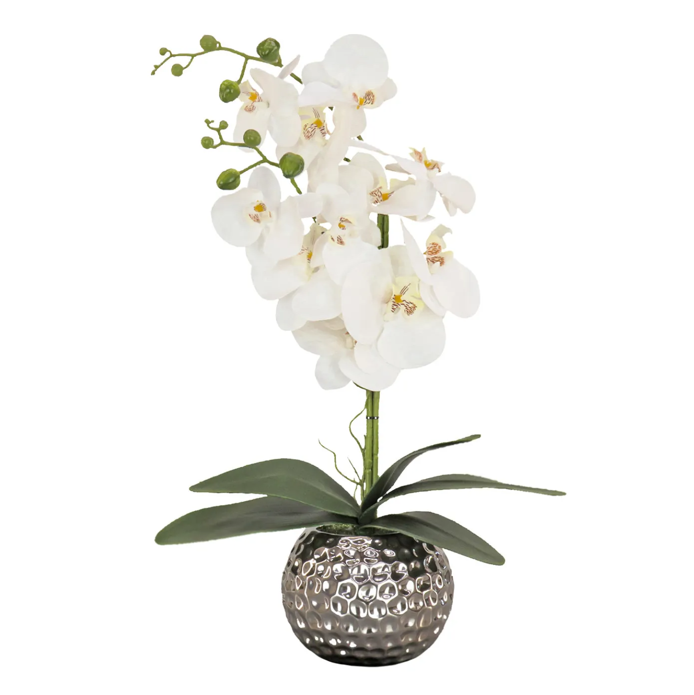 21 in. Spring White Orchid in Silver Smooth Ceramic Pot